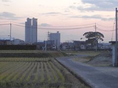 橋本～樟葉の田園です。タワーシティはでかいなぁ…