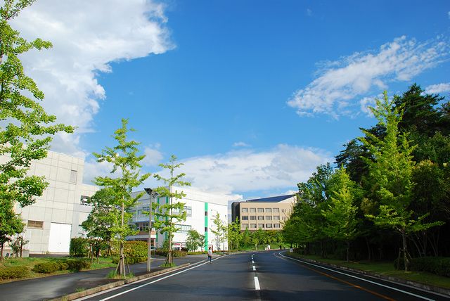 こうやって見るときれいですね滋賀キャンパス。