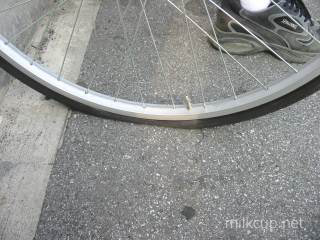 cycling_2002biwako_punk5_320_c